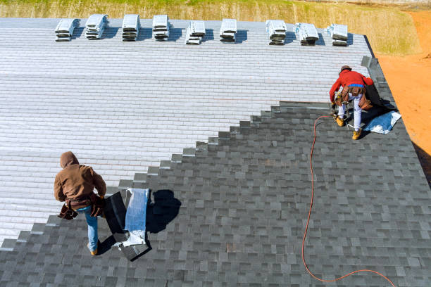 Best Roof Gutter Cleaning  in Mississippi State, MS