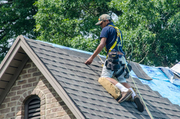 Best Shingle Roofing Installation  in Mississippi State, MS